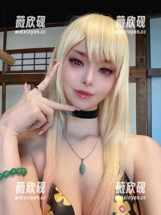 图包中的阿佛洛狄忒，Vinnegal，你真的确定这样没问题？