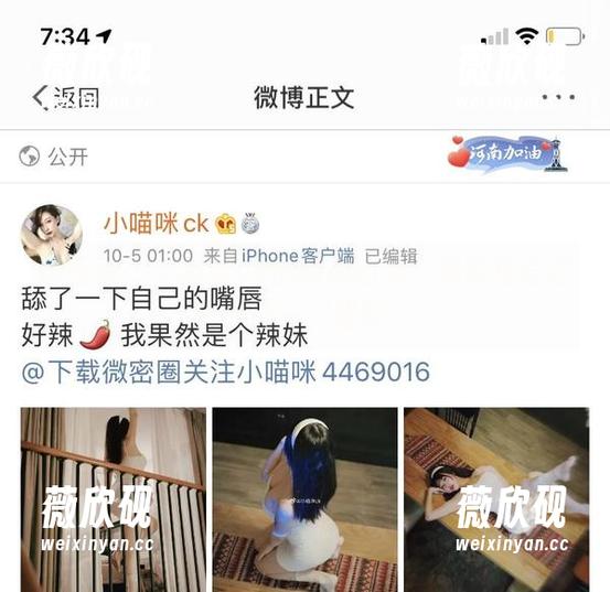 微密圈 - 小猫咪ck的制服图集：你能相信这就是同一只猫吗？
