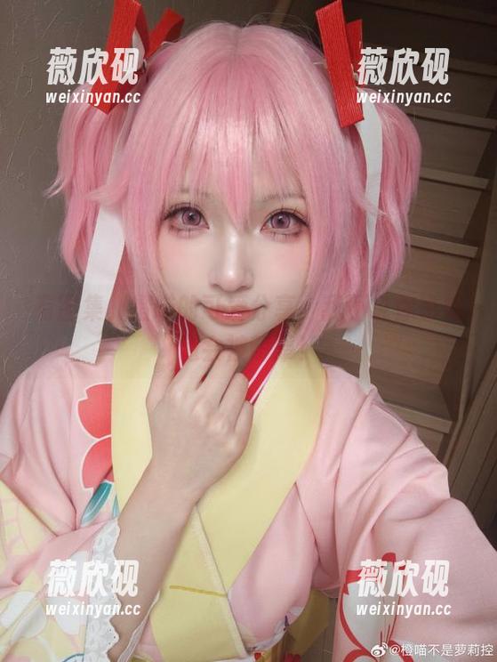 有图集，橙喵的可爱分享，我不说你也知道会被萌晕！