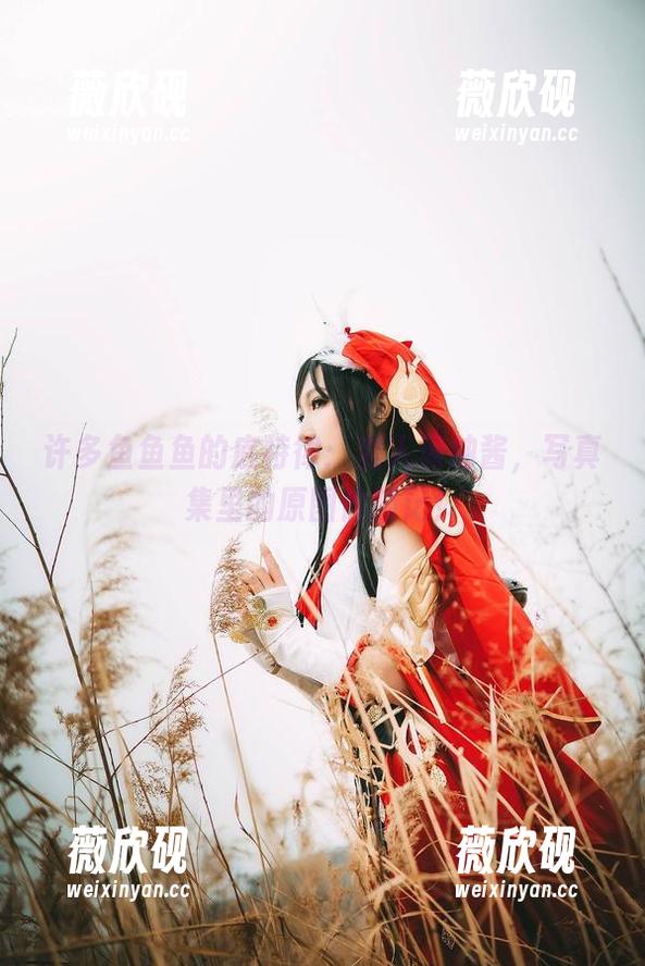 许多鱼鱼鱼的底特律：变人康纳酱，写真集里的原图偷瞄记！