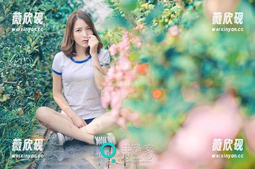 青豆客-王婉悠 青豆客 - 王婉悠和她的粉色图包,不可思议的甜蜜魔法